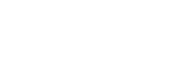 Felina Logo